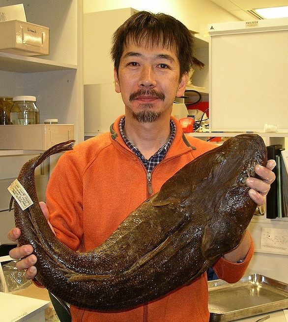 今村 央